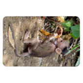 ベビー マグネット (横)