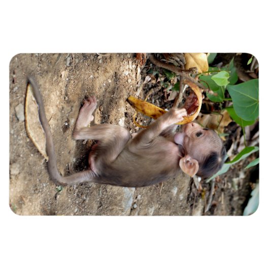 ベビー マグネット (横)