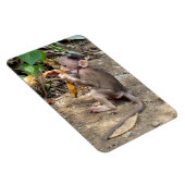 ベビー マグネット (右側)