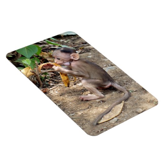 ベビー マグネット (右側)