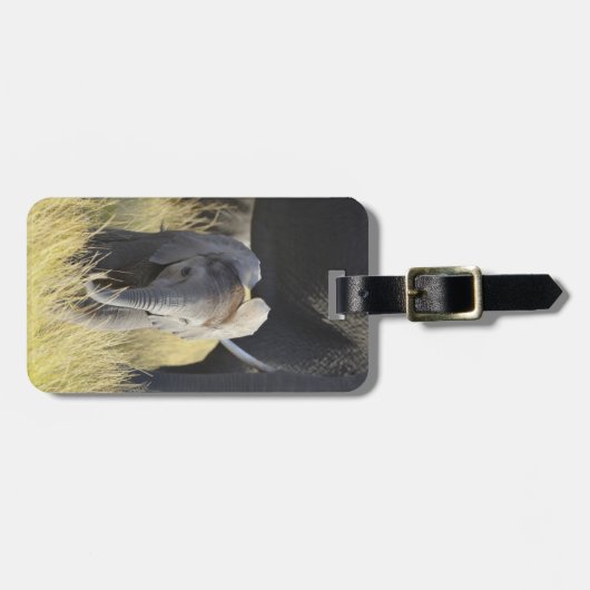 ベビー ラゲッジタグ (正面横)