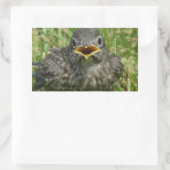 ベビー 長方形シール (バッグ)