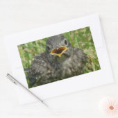 ベビー 長方形シール (封筒)