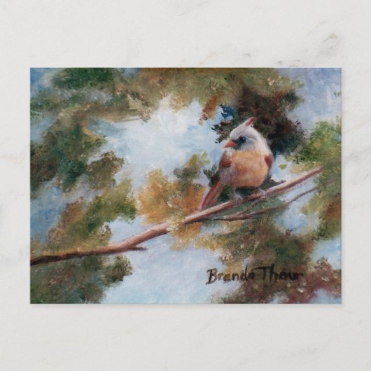 ベビー（鳥）ショウジョウコウカンチョウはがき ポストカード (正面)