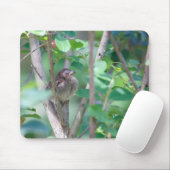 ベビー（鳥）ショウジョウコウカンチョウスリープ マウスパッド (マウス)
