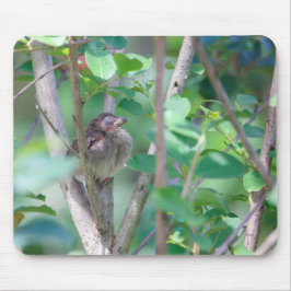 ベビー（鳥）ショウジョウコウカンチョウスリープ マウスパッド