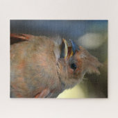 ベビー(鳥)ショウジョウコウカンチョウ鳥クローズアップ写真 ジグソーパズル (横)