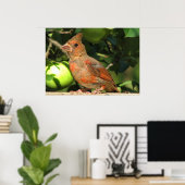 ベビー（鳥）ショウジョウコウカンチョウ ポスター (ホームオフィス)