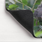 ベビー（鳥）ショウジョウコウカンチョウ マウスパッド (コーナー)