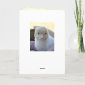 ベビー_Chicken_Easter_Greeting_Card シーズンカード (裏面)