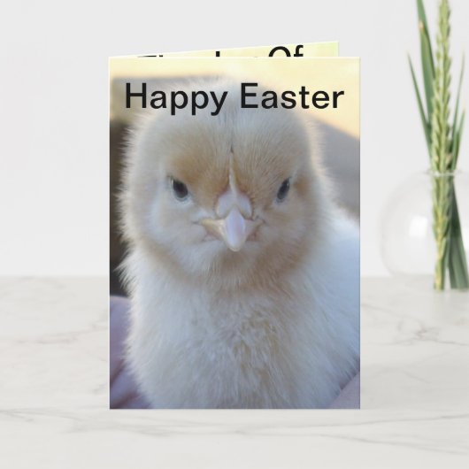 ベビー_Chicken_Easter_Greeting_Card シーズンカード (正面)
