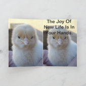 ベビー_Chicken_Easter_Greeting_Card シーズンカード (内部)