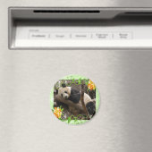 ベビー-panda-00018-85x85 マグネット (インサイチュ (食洗機))