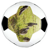 ベビーEmuチックスとビッグ足 サッカーボール (回転)