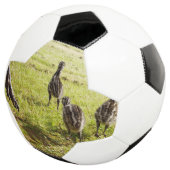 ベビーEmuチックスとビッグ足 サッカーボール (3/4)