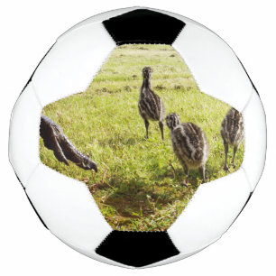 ベビーEmuチックスとビッグ足 サッカーボール