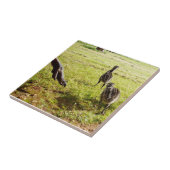 ベビーEmuチックスとビッグ足 タイル (側面)