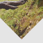 ベビーEmuチックスとビッグ足 薄葉紙 (詳細)