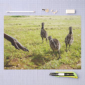 ベビーEmuチックスとビッグ足 薄葉紙 (クラフト)