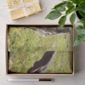 ベビーEmuチックスとビッグ足 薄葉紙 (ギフト)