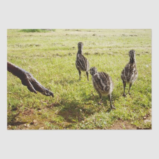 ベビーEmuチックスとビッグ足 薄葉紙 (正面)