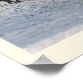 ベビーGeeseフォトポスター ポスター (角)