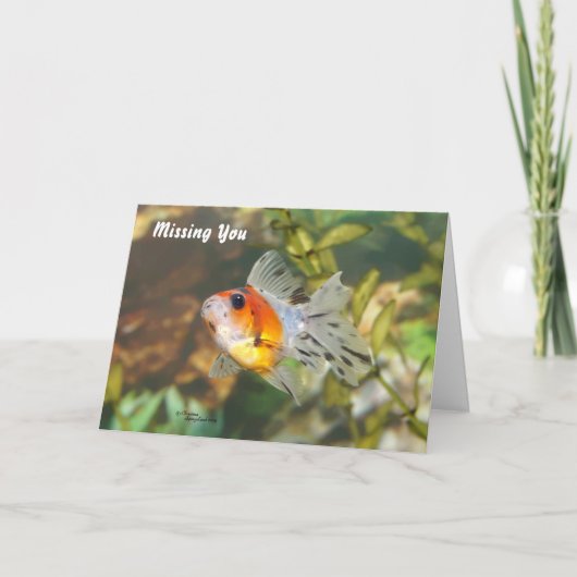 ベビーGoldfish 恋しく思's you Greeting Card カード (正面)