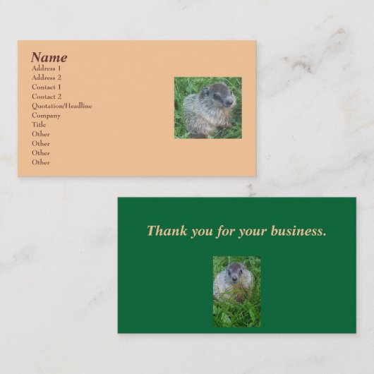 ベビーGroundhog/Woodchuck名刺 名刺 (正面/裏面)
