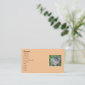 ベビーGroundhog/Woodchuck名刺 名刺 (スタンド正面)