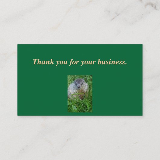 ベビーGroundhog/Woodchuck名刺 名刺 (裏面)
