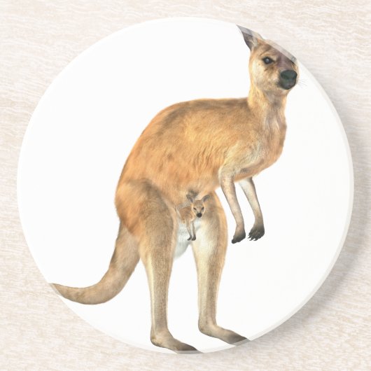 ベビーJoeyを持つカンガルー コースター (正面)