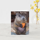 ベビーMaudeが付いている幸せな聖燭節カード カード (黄色い花)