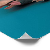 ベビーNIFLER™パイル ポスター (角)