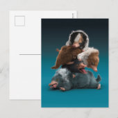 ベビーNIFLER™パイル ポストカード (正面/裏面)