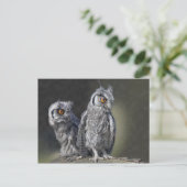 ベビーOwlsはがき ポストカード (スタンド正面)