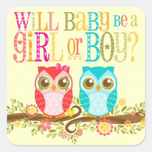 ベビーOwls GirlまたはBoy Gender Reveal -ステッカー スクエアシール