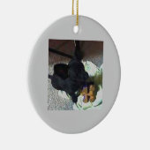 ベビーPOKEMONのオーナメント セラミックオーナメント (右)