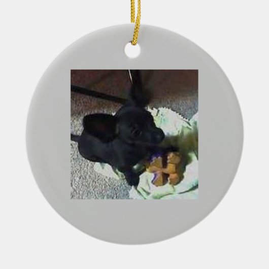 ベビーPOKEMONのオーナメント セラミックオーナメント (正面)