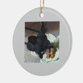 ベビーPOKEMONのオーナメント セラミックオーナメント (左)