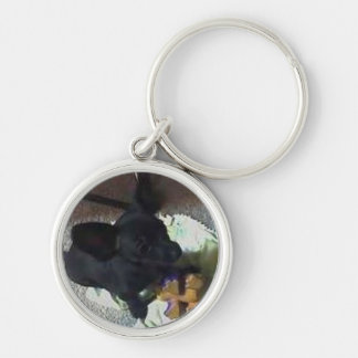 "ベビーPOKEMON"の優れたキーホルダー キーホルダー