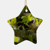 ベビーRoccoon セラミックオーナメント (右)