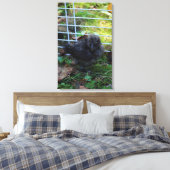 ベビーSilkie キャンバスプリント (インサイチュ (寝室))