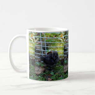 ベビーSilkie コーヒーマグカップ