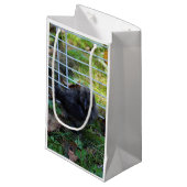 ベビーSilkie スモールペーパーバッグ (正面アングル)