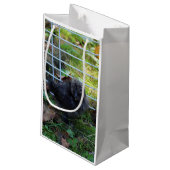 ベビーSilkie スモールペーパーバッグ (裏面アングル)