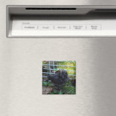 ベビーSilkie マグネット (インサイチュ (食洗機))