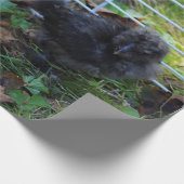 ベビーSilkie ラッピングペーパー (角)