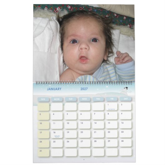 ベビーSteve Calendar カレンダー (1月 2027)