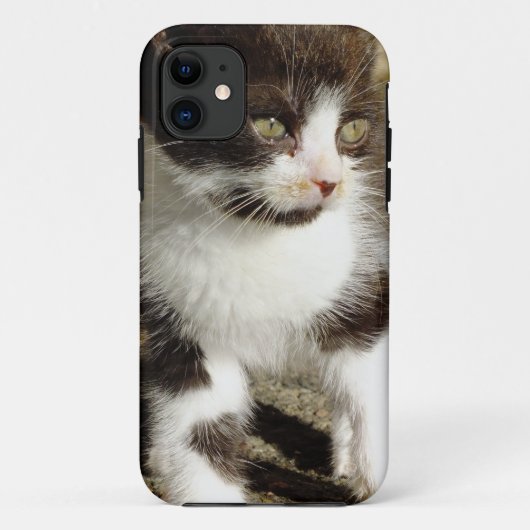 ベビーTuxedo Kitten - Cat iPhone 5ケース Case-Mate iPhoneケース (裏面)