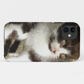 ベビーTuxedo Kitten - Cat iPhone 5ケース Case-Mate iPhoneケース (裏面(横))